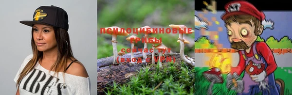 стаф Балахна