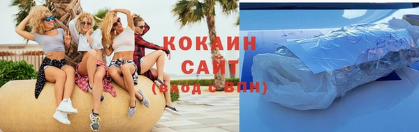 стаф Балахна