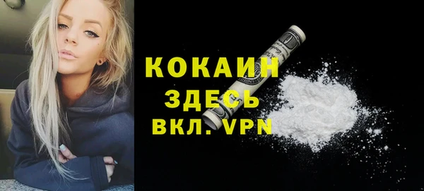стаф Балахна