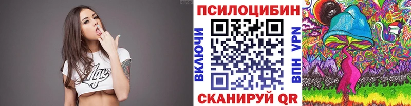 Купить где  Кунгур  Галлюциногенные грибы GOLDEN TEACHER 